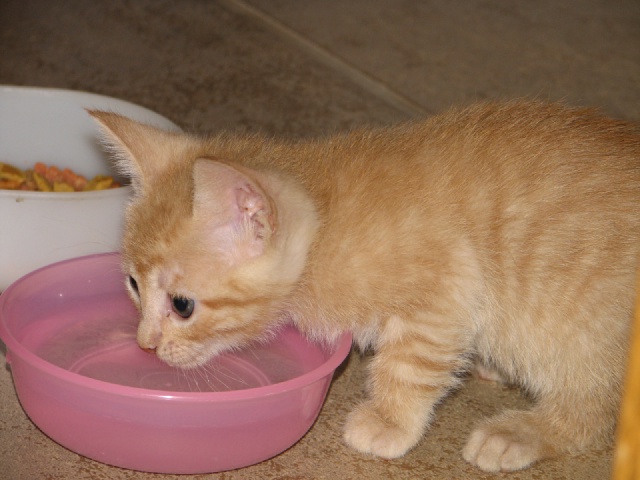20100206 417.JPG